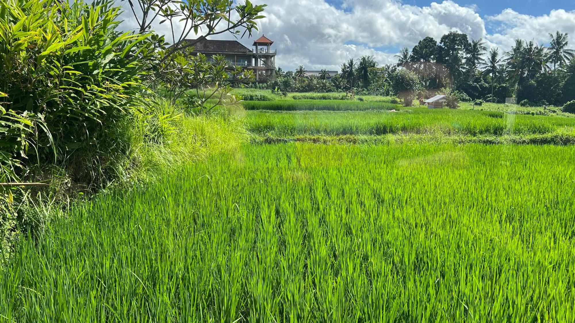 Villa Karma Ubud Exteriör bild